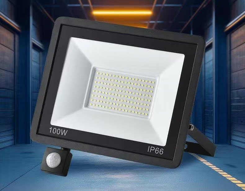 100W PIR motion sensor LED floodlight with tempered glass, IP66